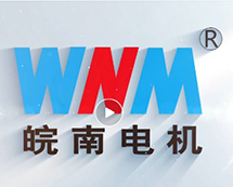 安徽j9数字站电机股份有限公司宣传片（2024）正式发布